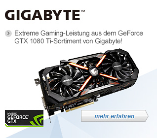 Gigabyte 1080 ti